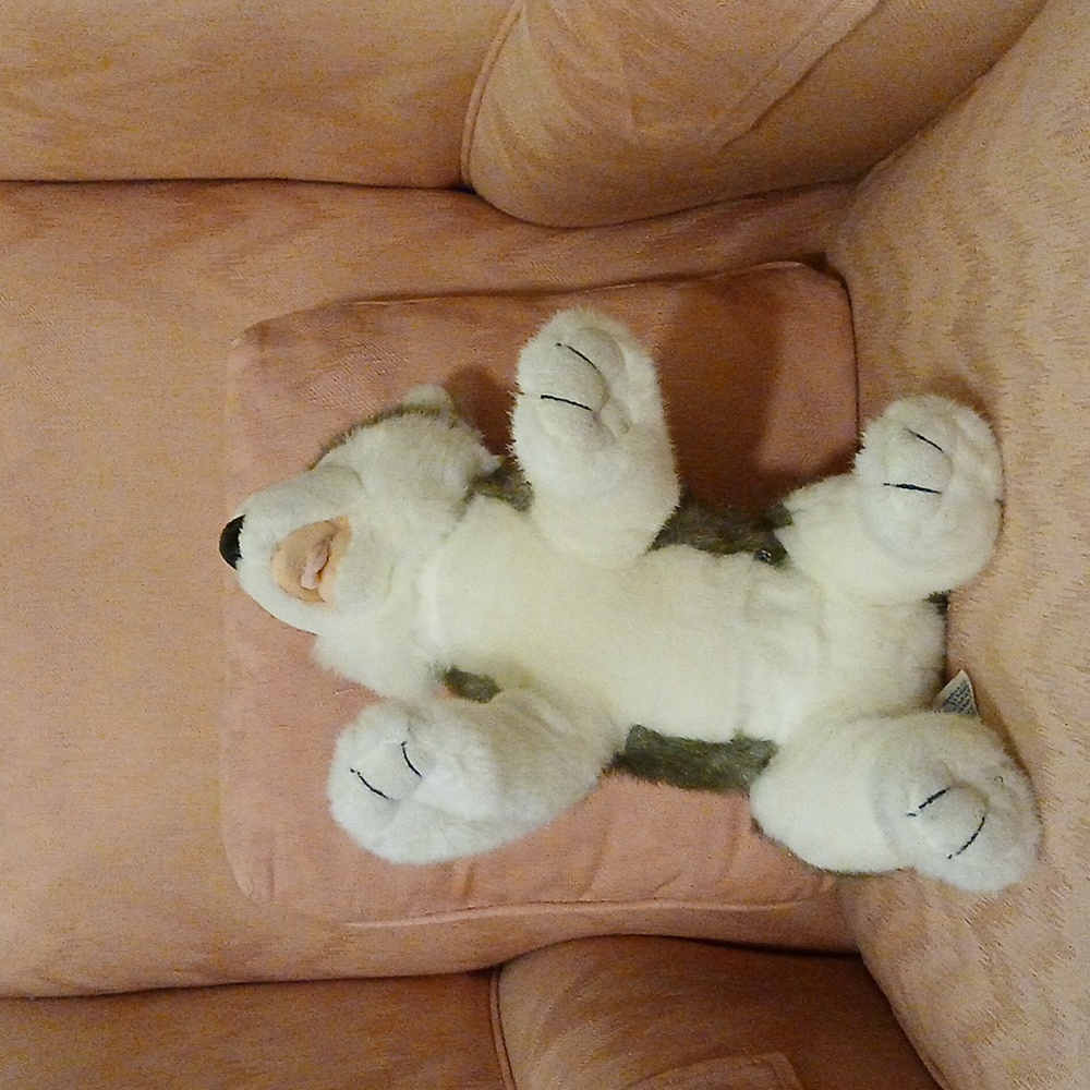 Build-A-Bear Husky - Picture 5 of 8